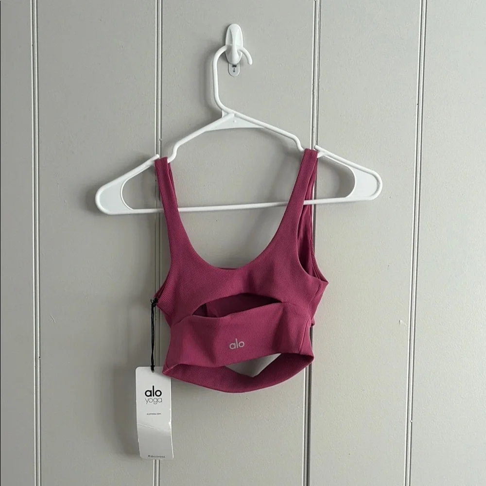 Alo sports bra in raspberry sorbet